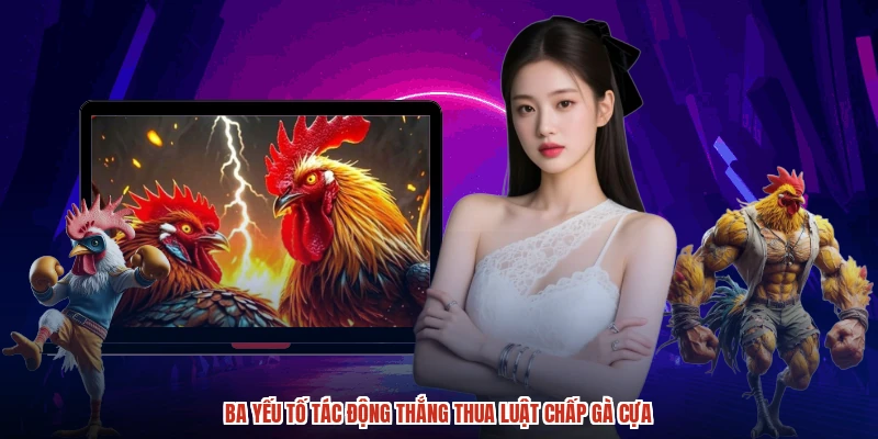 Ba yếu tố tác động thắng thua luật chấp gà cựa