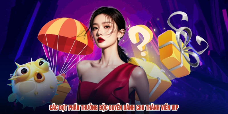 Các đợt phần thưởng độc quyền dành cho thành viên VIP