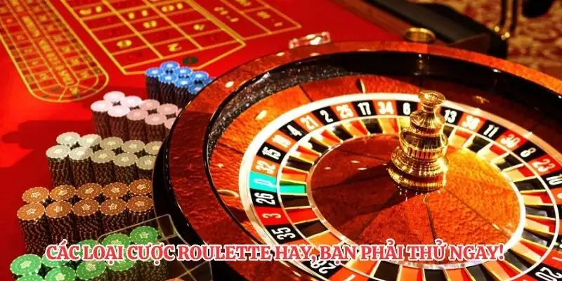 Các loại cược roulette hay, bạn phải thử ngay!