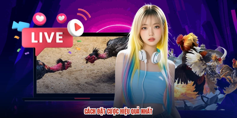 Cách đặt cược hiệu quả nhất