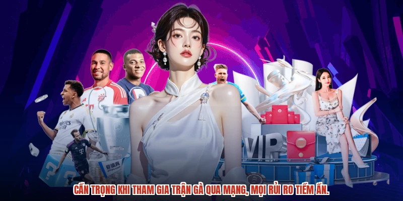 Cẩn trọng khi tham gia trận gà qua mạng, mọi rủi ro tiềm ẩn.