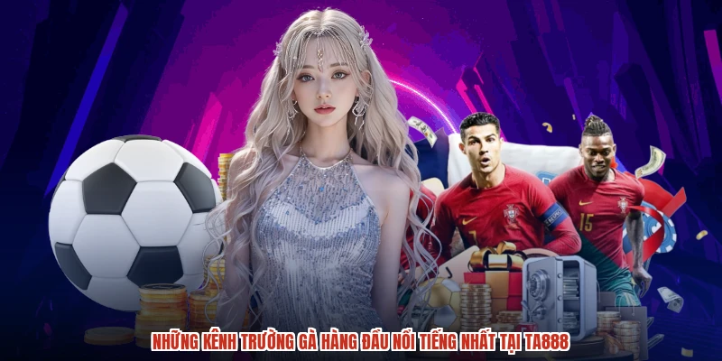 Những kênh trường gà hàng đầu nổi tiếng nhất tại TA888