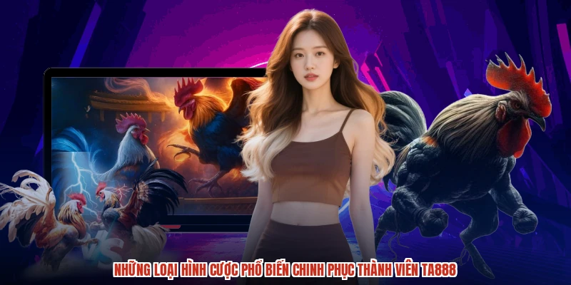 Những loại hình cược phổ biến chinh phục thành viên TA888